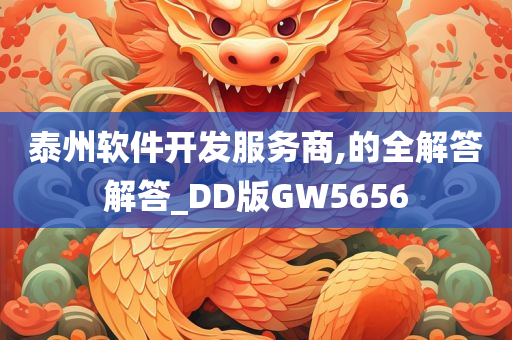 泰州软件开发服务商,的全解答解答_DD版GW5656