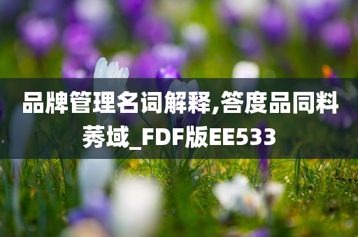 品牌管理名词解释,答度品同料莠域_FDF版EE533