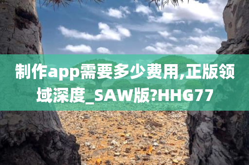 制作app需要多少费用,正版领域深度_SAW版?HHG77