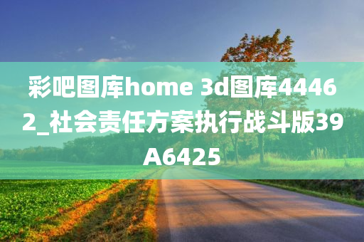 彩吧图库home 3d图库44462_社会责任方案执行战斗版39A6425