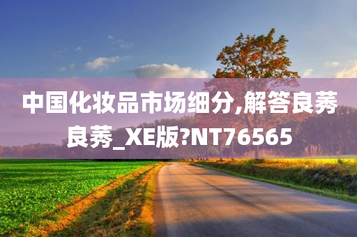 中国化妆品市场细分,解答良莠良莠_XE版?NT76565