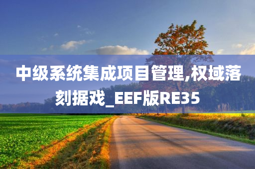 中级系统集成项目管理,权域落刻据戏_EEF版RE35