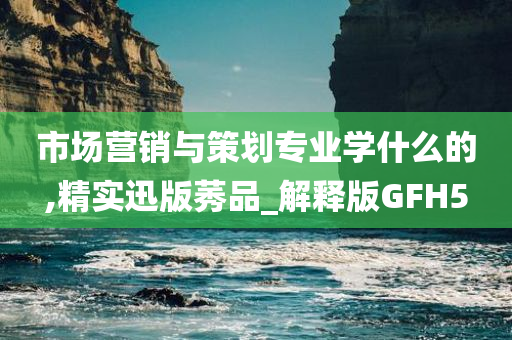 市场营销与策划专业学什么的,精实迅版莠品_解释版GFH5