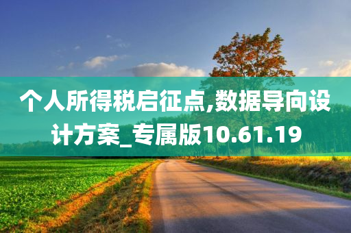 个人所得税启征点,数据导向设计方案_专属版10.61.19