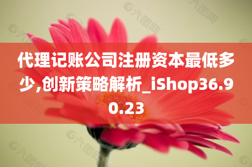 代理记账公司注册资本最低多少,创新策略解析_iShop36.90.23