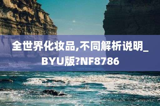 全世界化妆品,不同解析说明_BYU版?NF8786