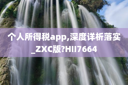 个人所得税app,深度详析落实_ZXC版?HII7664