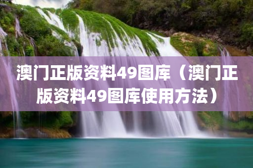 澳门正版资料49图库（澳门正版资料49图库使用方法）