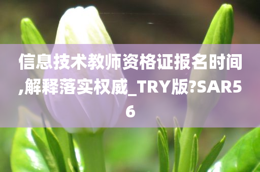 信息技术教师资格证报名时间,解释落实权威_TRY版?SAR56