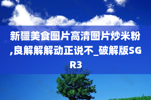 新疆美食图片高清图片炒米粉,良解解解动正说不_破解版SGR3