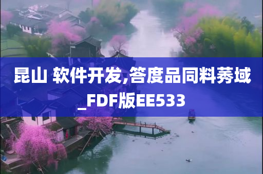 昆山 软件开发,答度品同料莠域_FDF版EE533