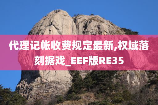 代理记帐收费规定最新,权域落刻据戏_EEF版RE35