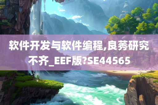 软件开发与软件编程,良莠研究不齐_EEF版?SE44565