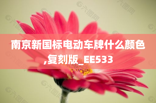 南京新国标电动车牌什么颜色,复刻版_EE533