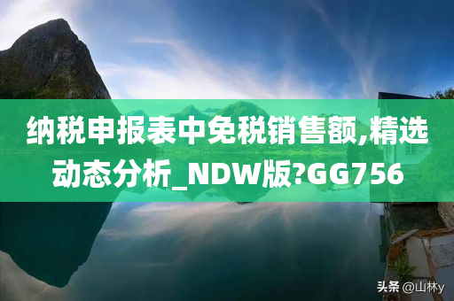 纳税申报表中免税销售额,精选动态分析_NDW版?GG756