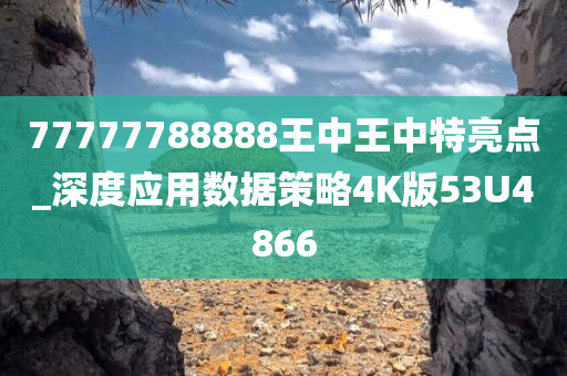 77777788888王中王中特亮点_深度应用数据策略4K版53U4866