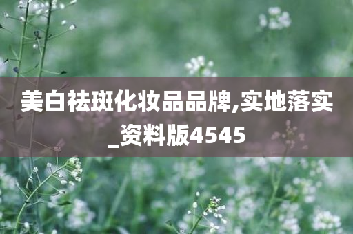 美白祛斑化妆品品牌,实地落实_资料版4545