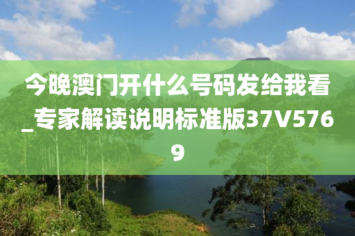 今晚澳门开什么号码发给我看_专家解读说明标准版37V5769