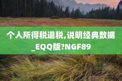 个人所得税退税,说明经典数据_EQQ版?NGF89