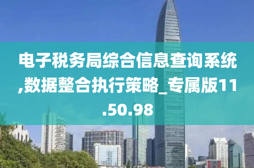 电子税务局综合信息查询系统,数据整合执行策略_专属版11.50.98