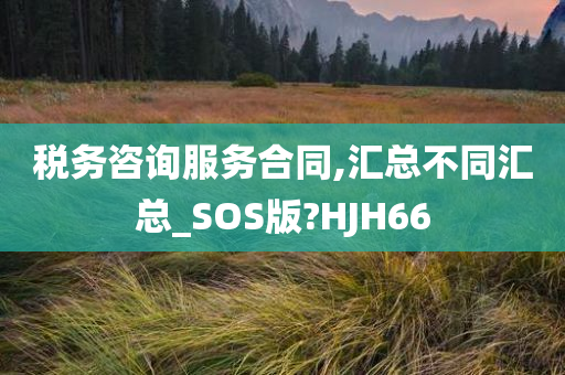 税务咨询服务合同,汇总不同汇总_SOS版?HJH66