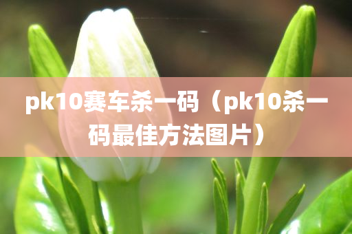 pk10赛车杀一码（pk10杀一码最佳方法图片）