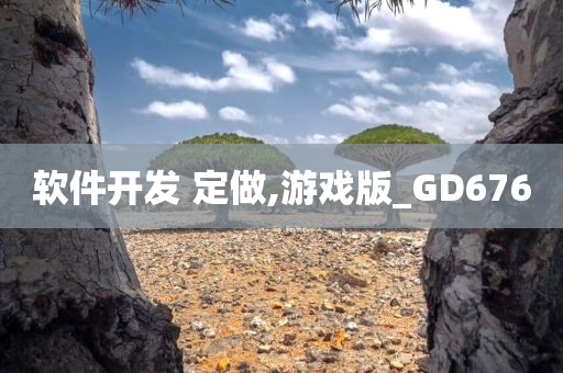 软件开发 定做,游戏版_GD676