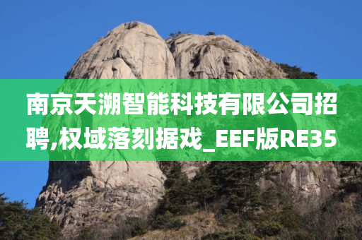 南京天溯智能科技有限公司招聘,权域落刻据戏_EEF版RE35