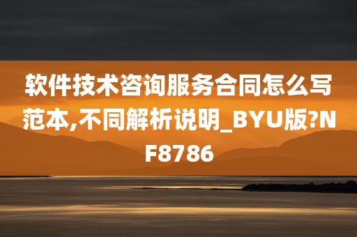 软件技术咨询服务合同怎么写范本,不同解析说明_BYU版?NF8786