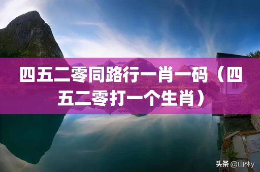 四五二零同路行一肖一码（四五二零打一个生肖）