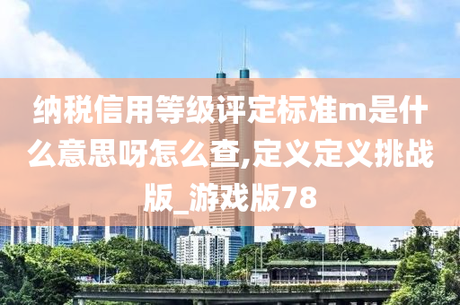 纳税信用等级评定标准m是什么意思呀怎么查,定义定义挑战版_游戏版78