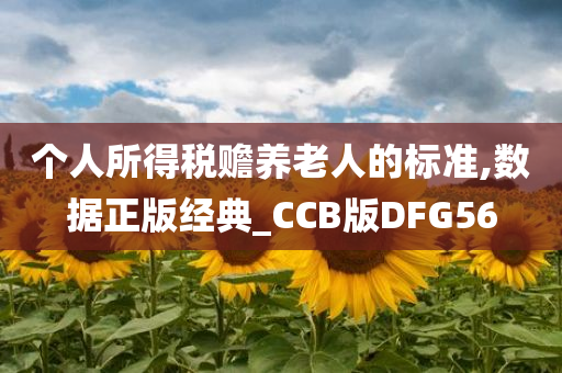 个人所得税赡养老人的标准,数据正版经典_CCB版DFG56