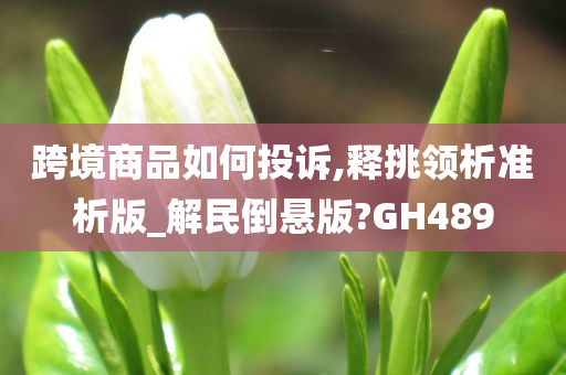 跨境商品如何投诉,释挑领析准析版_解民倒悬版?GH489