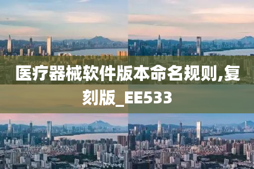 医疗器械软件版本命名规则,复刻版_EE533