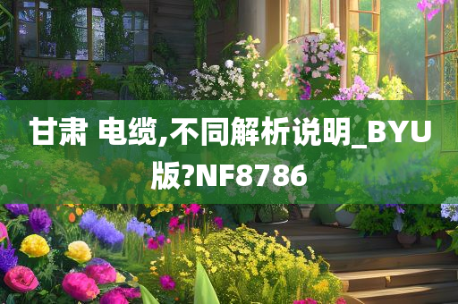 甘肃 电缆,不同解析说明_BYU版?NF8786