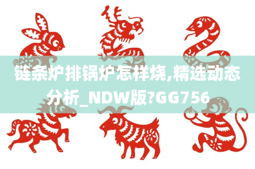 链条炉排锅炉怎样烧,精选动态分析_NDW版?GG756