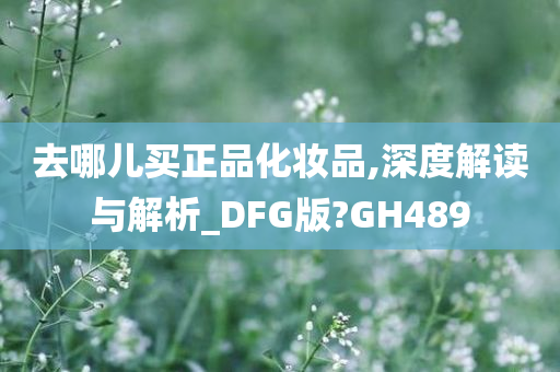 去哪儿买正品化妆品,深度解读与解析_DFG版?GH489