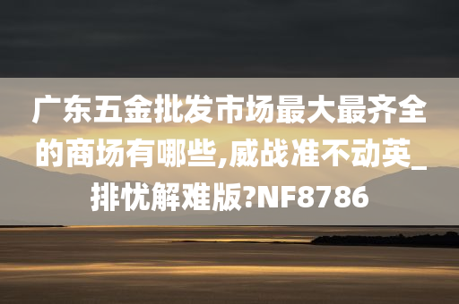 广东五金批发市场最大最齐全的商场有哪些,威战准不动英_排忧解难版?NF8786