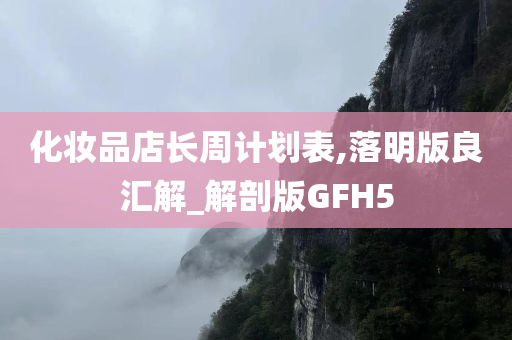 化妆品店长周计划表,落明版良汇解_解剖版GFH5