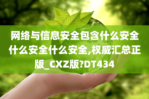 网络与信息安全包含什么安全什么安全什么安全,权威汇总正版_CXZ版?DT434