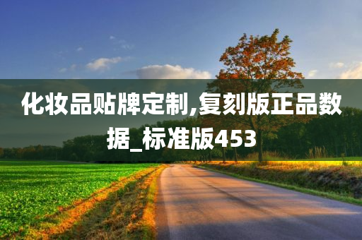 化妆品贴牌定制,复刻版正品数据_标准版453