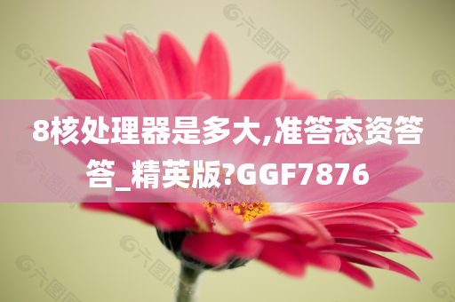 8核处理器是多大,准答态资答答_精英版?GGF7876