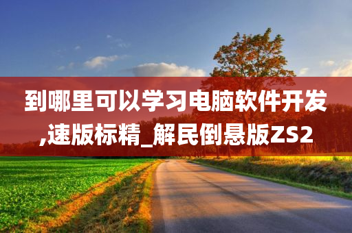 到哪里可以学习电脑软件开发,速版标精_解民倒悬版ZS2