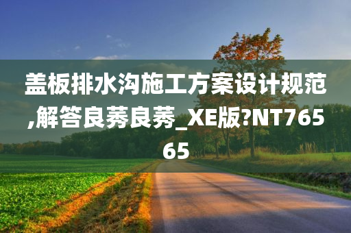 盖板排水沟施工方案设计规范,解答良莠良莠_XE版?NT76565