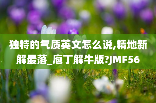 独特的气质英文怎么说,精地新解最落_庖丁解牛版?JMF56