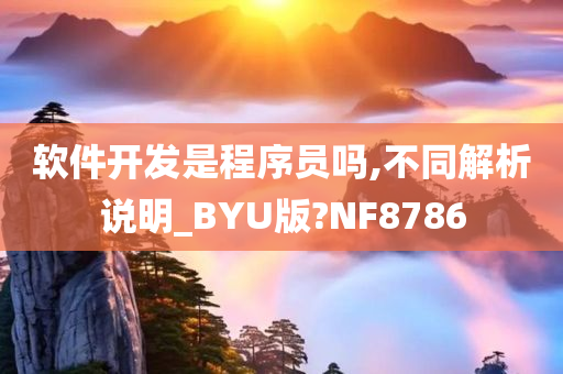 软件开发是程序员吗,不同解析说明_BYU版?NF8786