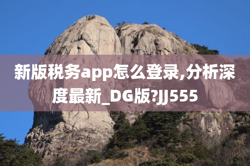 新版税务app怎么登录,分析深度最新_DG版?JJ555