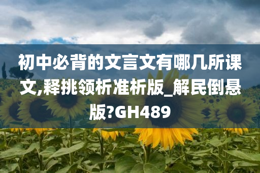 初中必背的文言文有哪几所课文,释挑领析准析版_解民倒悬版?GH489