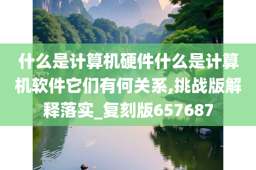 什么是计算机硬件什么是计算机软件它们有何关系,挑战版解释落实_复刻版657687