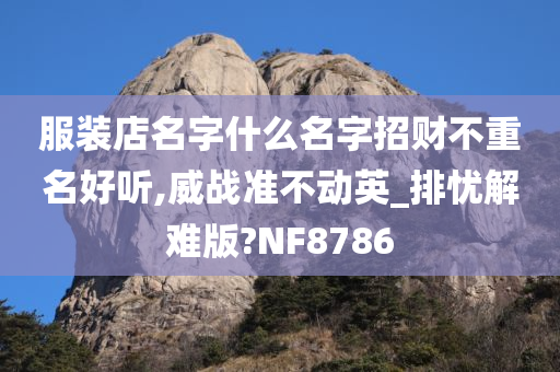 服装店名字什么名字招财不重名好听,威战准不动英_排忧解难版?NF8786